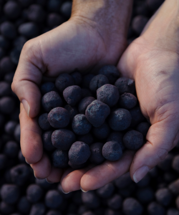 2.11.39.21-Pelotas--008-